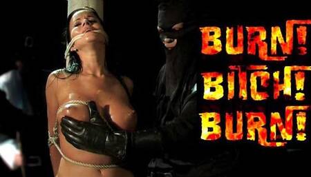 Burn! BItch! Burn!