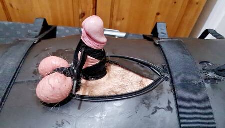 Miss M tied cock and balls handjob on helpless man in neoprene sack
