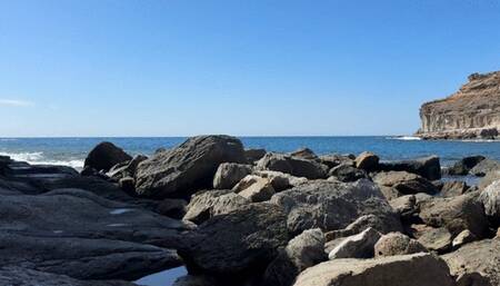 Public pee on the rock