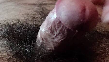 VR HairyItalian 3D
