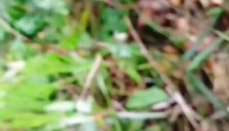 Assam virgin girls fuck wite friend in outdoor