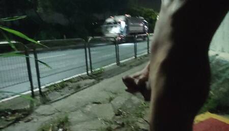 Caught Naked on the Avenue