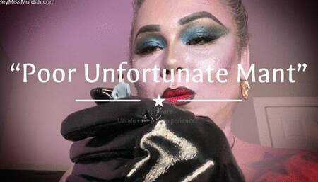 Poor Unfortunate Mant 4K