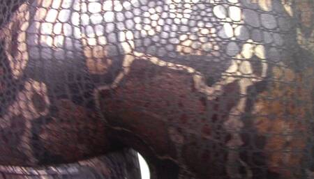 Snakeskin Ass Charm JOI (mkv)