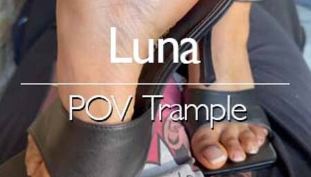 Luna's POV Trample