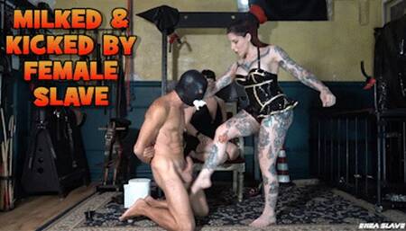 ENEA SLAVE - MILKED & KICKED BY FEMALE SLAVE - HD