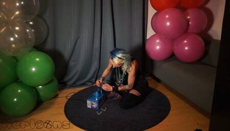 Blue - Bouncing and sit popping