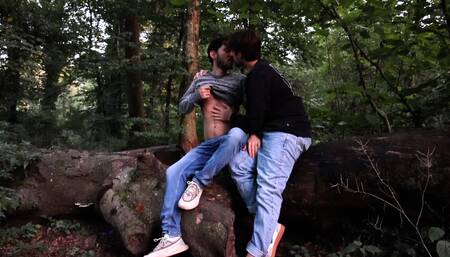 Lovers getting horny outdoors