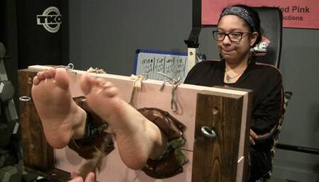 New Ravens Soft Feet get in the stocks