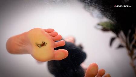 Gentle Giantess Stepsister cares about Horny Shrunken Stepbrother