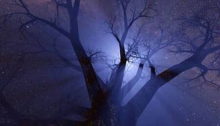 Bedtime Stories: Filthy Panty Slut (Femdom ASMR) Vid