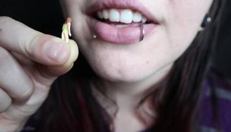 Oh no! OOPS! (Accidental Vore) - HD