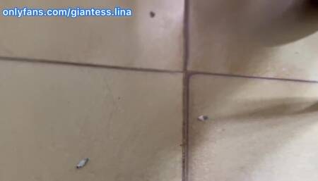 Giantess Lina slow buttcrush and ass perspectives