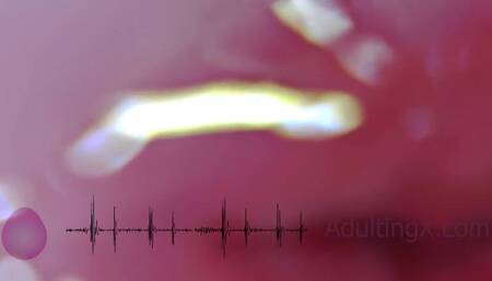 Cervix Pulse Heartbeat Orgasms EKG - Sophie Adulting