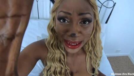 Kitty's belly is waiting for you