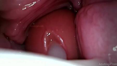 Camera in Vagina, Cervix POV, "Creampie"