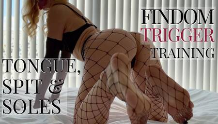 Tongue, spit & soles: findom trigger training