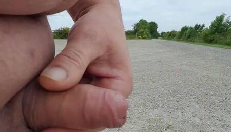 Public naked, piss cum on road and anal insertion