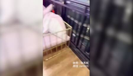 Asian schoolgirl sweet teenager Ladyboy upskirt and cum on her pantyhose on public toilet