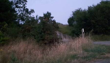 at the dawn of a beautiful day