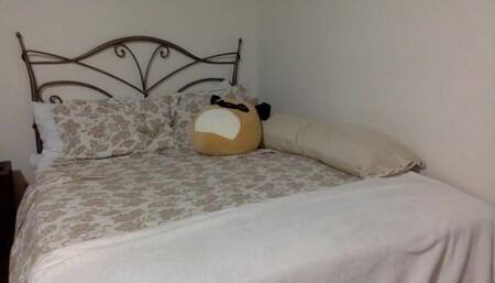 topless teen chaturbate cam girl hitachi cumshow bedroom livestream recording