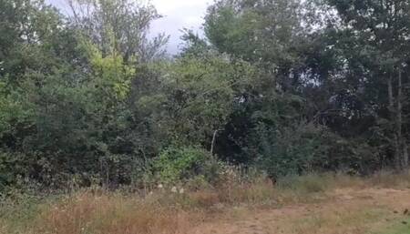 Naked pee and cum for all to see