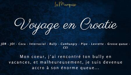 French Audio Porn   Your bully black gets me high on vacation