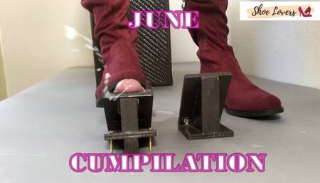 June 2024 cumpilation