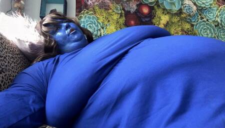 USSBBW Blueberry Dreams Come True SD