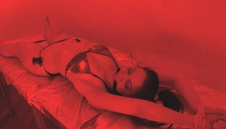 Gisy slow cooking ( DID )