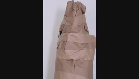 Robot Delivery: Test Unit Sue