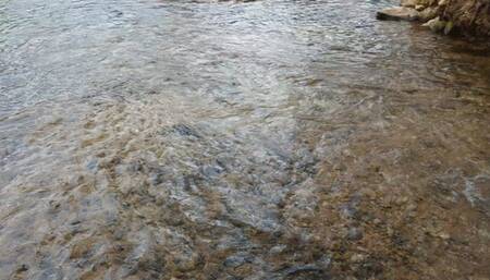 Fifi wearing socks with her sandals and getting them wet in the creek