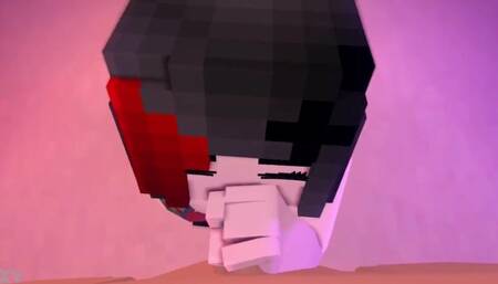 Minecraft Porn Animation Compilation