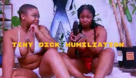 Tiny White Dick Humiliation