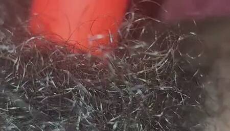 Pussy Hairy
