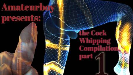 Amateurboy Presents the Cock Whipping Compilation Part 1