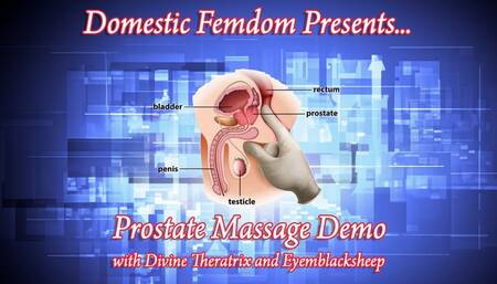 Demo: Prostate Massage