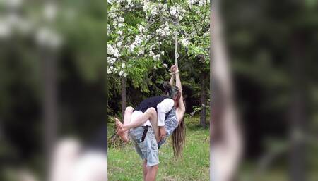 Tied up in a blooming apple tree - RosenlundX - Vertical HD