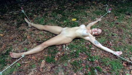 The Profiler (4K) - Alba Zevon