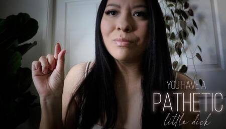 You Have A Pathetic Little Dick