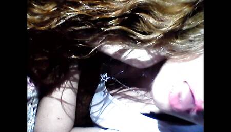 Flor fenix