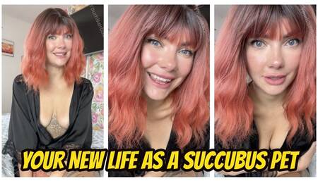 Your New Life As A Succubus Pet