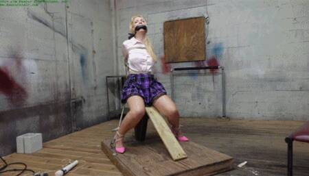 Helplessly bound to the orgasm machine with heavy gauge rope (WMV HD 8000kbps)