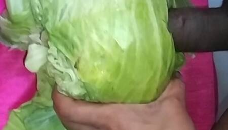 Playing With Cabbage With My Horny Big Black Cock And Balls For Dirty Desire part-1