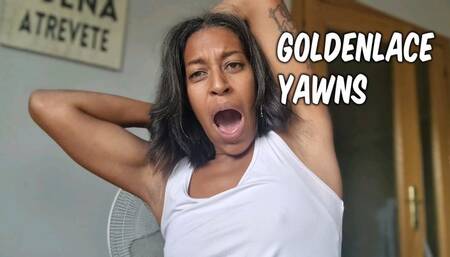 Goldenlace Yawning