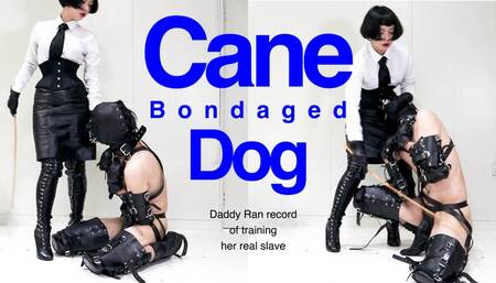 Leather Japanese mistress Ran's record: Bondage and Caning