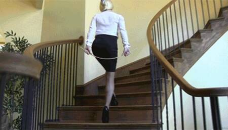 Corporate Bitch In Charge (WMV HD)