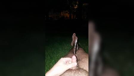 Exhib public park piss
