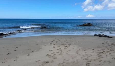 Accidentally Pee in yoga pants at the beach while doing exercises
