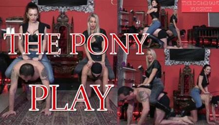 THE DOMINANT KNIGHTS